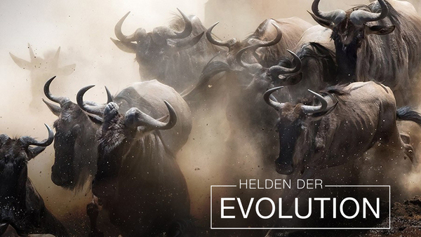 Helden der Evolution