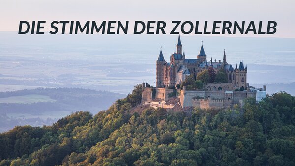 Die Stimmen der Zollernalb