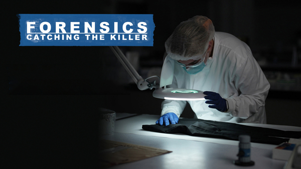Forensics: Catching the Killer