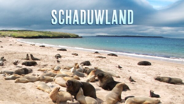 Schaduwland