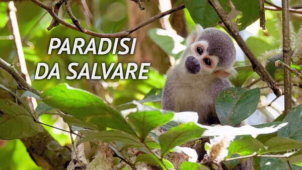 Paradisi da salvare