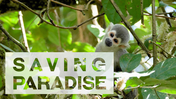 Saving paradise