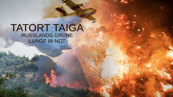 Tatort Taiga - Russlands grüne Lunge in Not