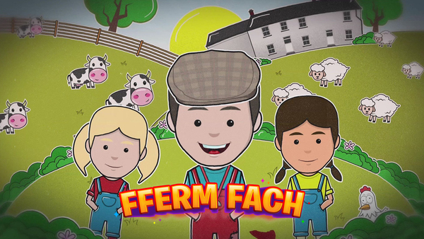 Fferm Fach