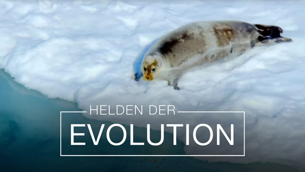 Helden der Evolution