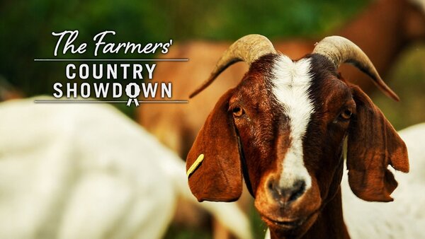 The Farmers' Country Showdown