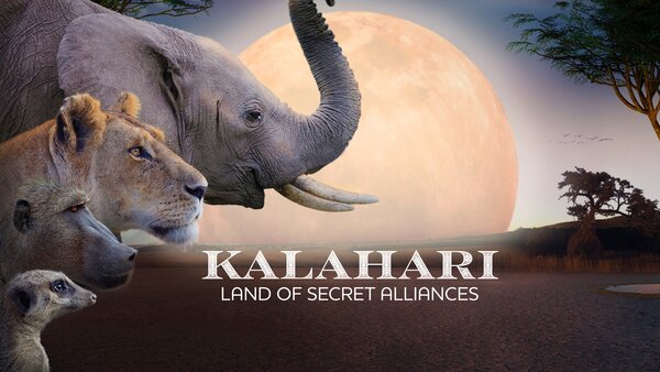 Kalahari: Land of Secret Alliances