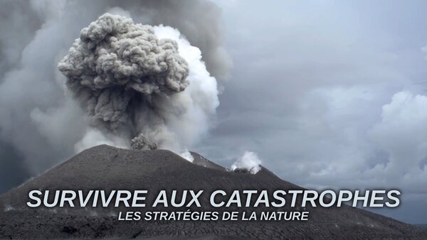 Survivre aux catastrophes : les stratégies de la nature