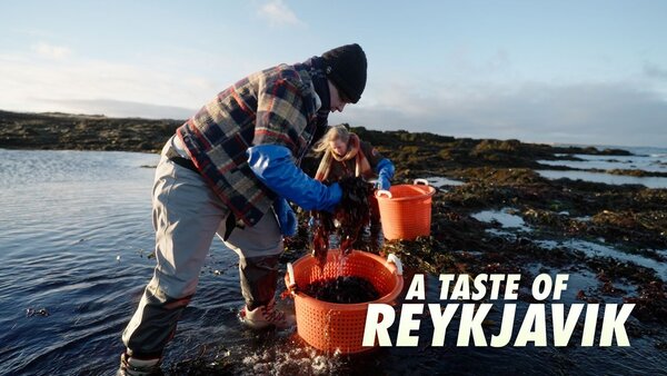A Taste of Reykjavik