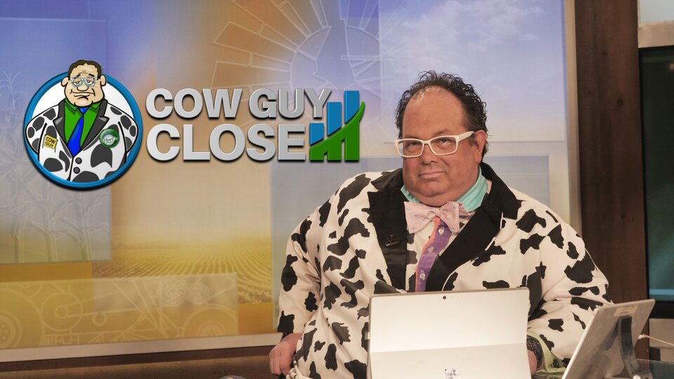 Live: Cow Guy Close