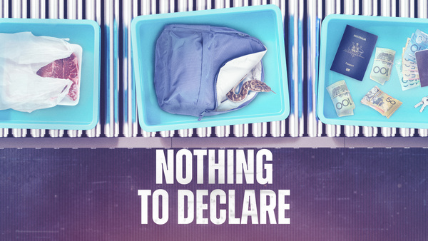 Nothing to Declare