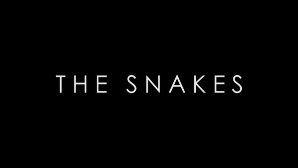The Snakes
