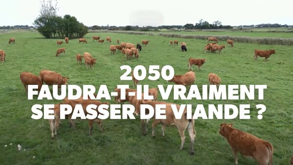 2050 : faudra-t-il vraiment se passer de viande ?