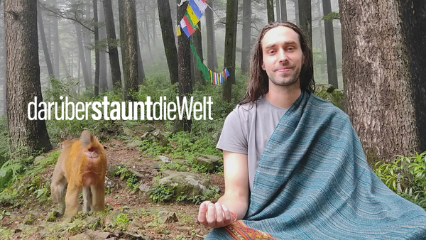 Darüber staunt die Welt