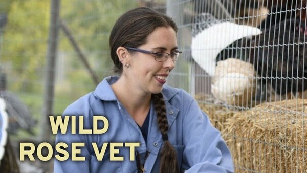 Wild Rose Vet