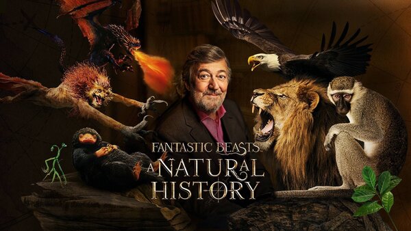 Fantastic Beasts: A Natural History