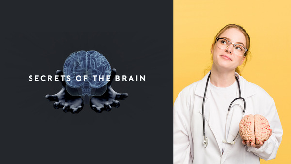Secrets of the Brain