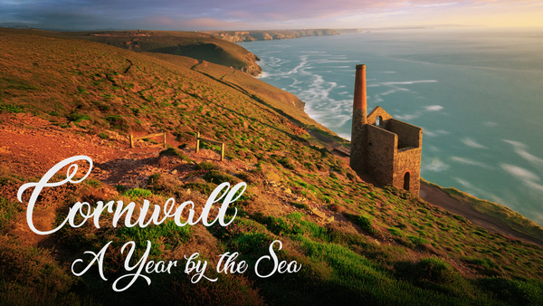 Cornwall: A Year By The Sea