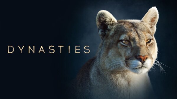 Dynasties