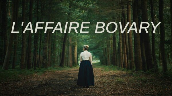L'affaire Bovary