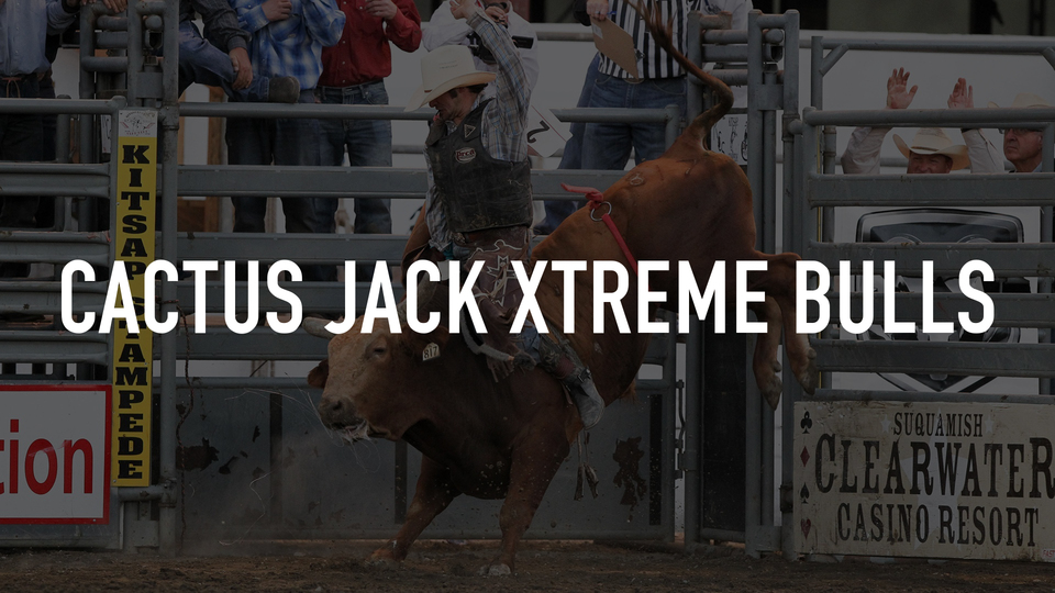 Cactus Jack Xtreme Bulls