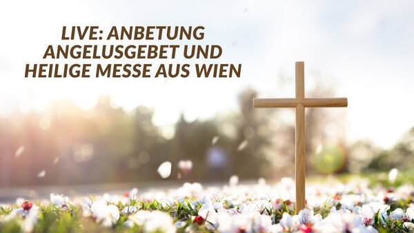 LIVE: Anbetung, Angelusgebet und Heilige Messe aus Wien