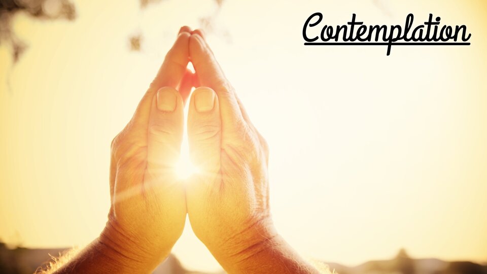 Contemplation