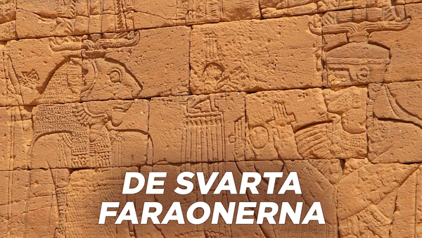 De svarta faraonerna