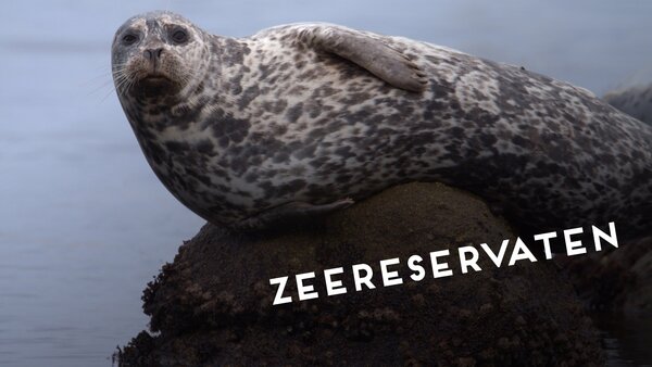 Zeereservaten