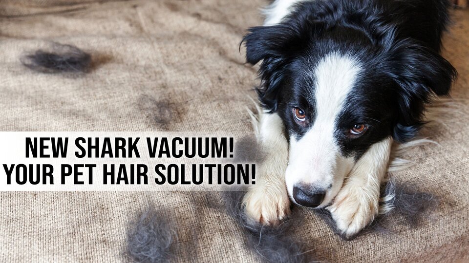 NEW Shark Vacuum! Your Pet Hair Solution!
