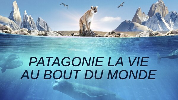 Patagonie la vie au bout du monde