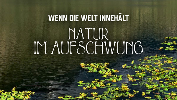 Wenn die Welt innehält - Natur im Aufschwung