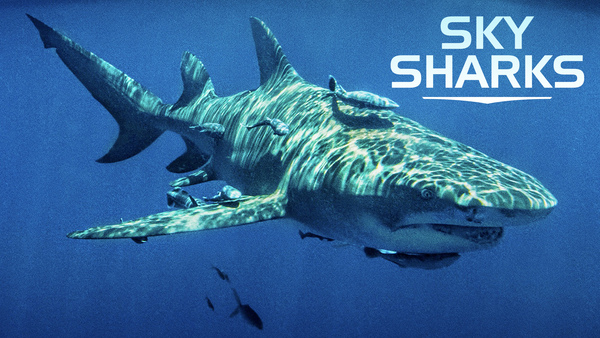Sky Sharks