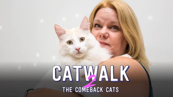 Catwalk 2: The Comeback Cats Documentary