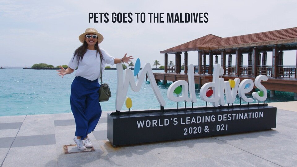 Pets Goes to the Maldives