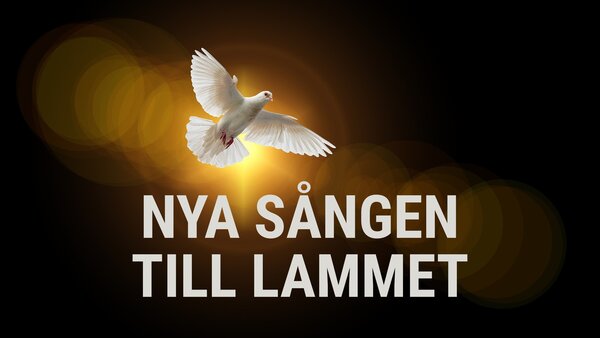 Nya sången till Lammet