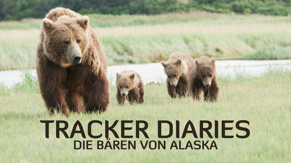 Tracker Diaries - Die Bären von Alaska