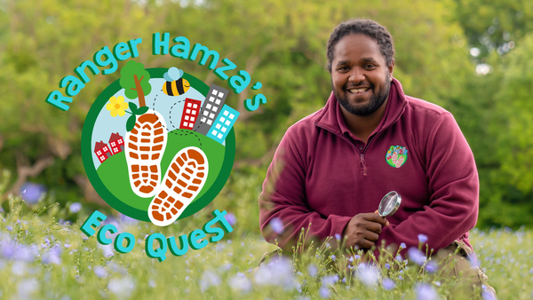 Ranger Hamza's Eco Quest