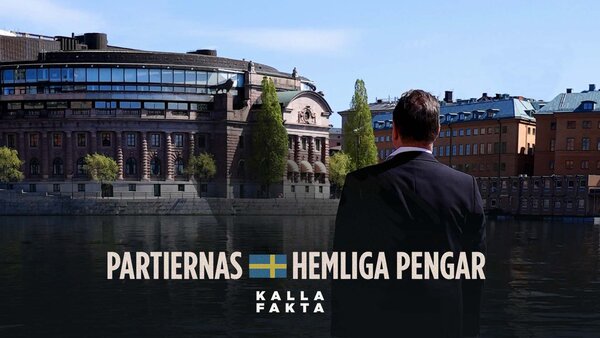 Kalla fakta: Partiernas hemliga pengar