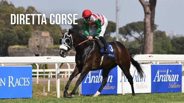 Live: Diretta corse