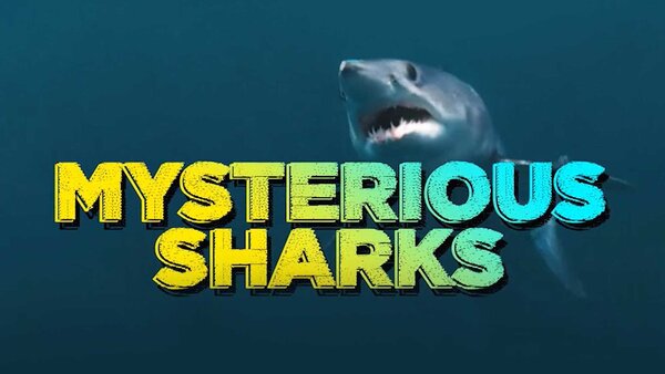 Mysterious Sharks