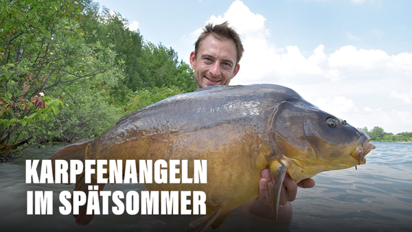 Karpfenangeln im Spätsommer