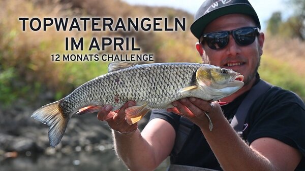 Topwaterangeln im April - 12 Monats Challenge