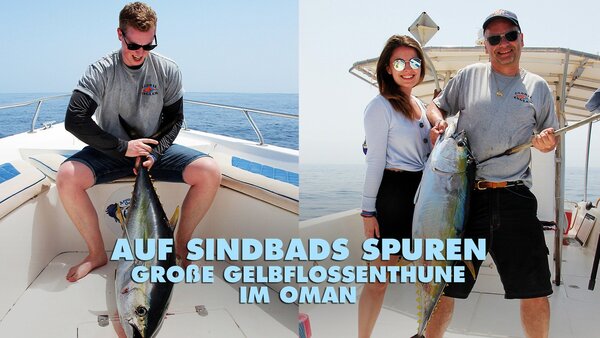 Auf Sindbads Spuren - große Gelbflossenthune im Oman