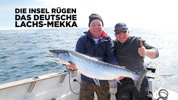 Die Insel Rügen, das deutsche Lachs-Mekka
