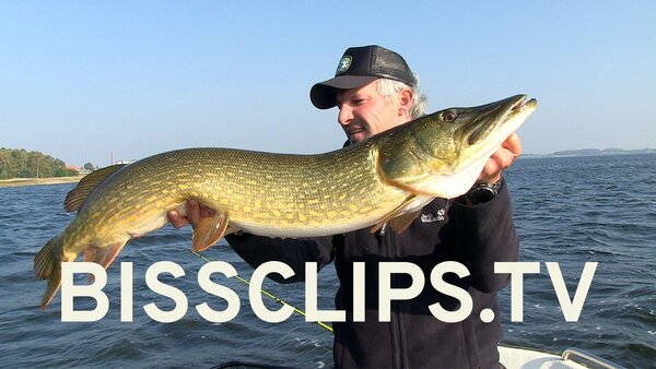 bissclips.tv