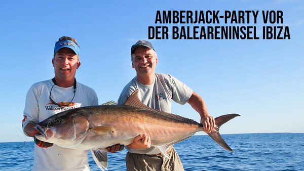 Amberjack-Party vor der Baleareninsel Ibiza