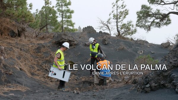 Le volcan de La Palma - La vie après l'éruption