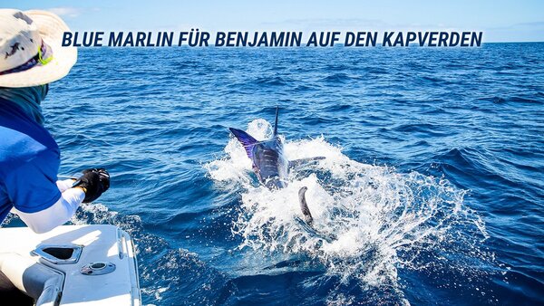 Blue Marlin für Benjamin auf den Kapverden