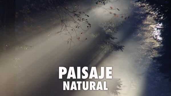 Paisaje natural